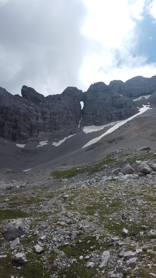 Hotel Garni Al Nardis Carisolo Buitenkant foto